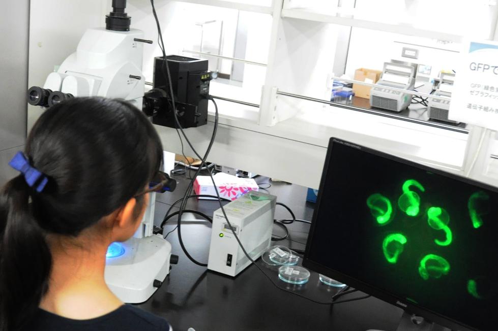 ９年ぶりに基礎生物学研究所研究実験棟の内部を公開
