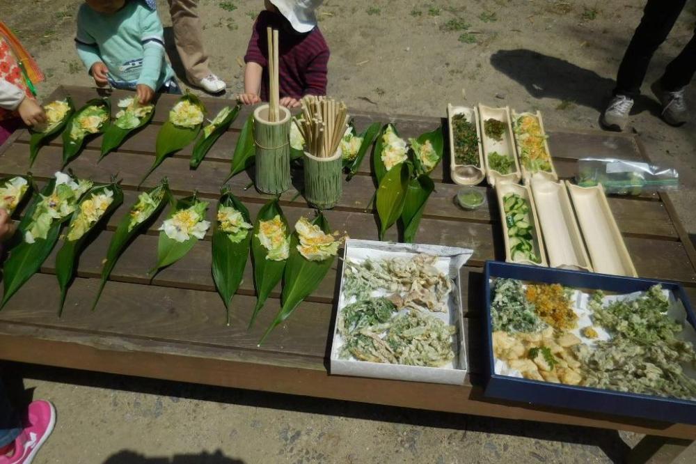 食べられる植物を探そう(4月)