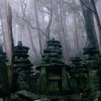 「ホントにこの道で大丈夫？」
「大丈夫だ。問題ない」