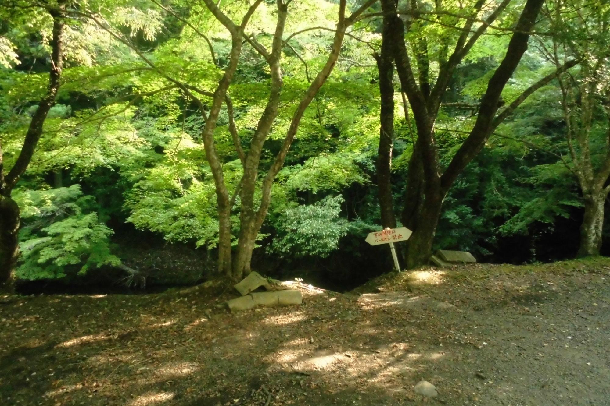 くらがり渓谷満喫コース