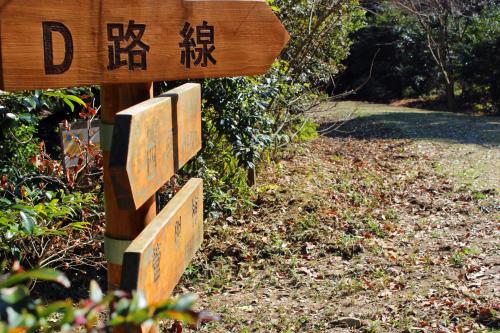 おかざき自然体験の森「散策路」Dコース