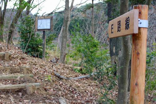 おかざき自然体験の森「散策路」Eコース