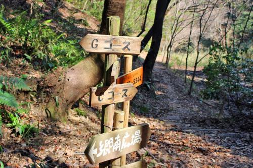 おかざき自然体験の森「散策路」Gコース