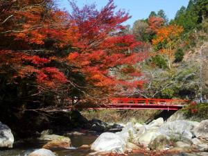 岡崎秋の紅葉と食の体験デートコース！
