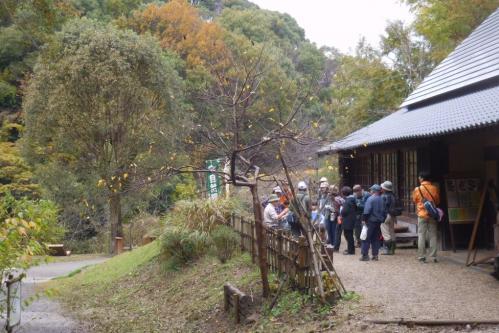 緑が濃くなった森でサカキの花を見つけよう／森の自然観察会（西三河自然観察会）