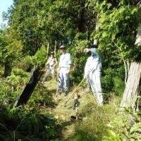 鳥川ホタルの里の登山ルート整備