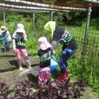 「大豆の種まきとじゃが芋掘り・森の虫捕り／森の畑倶楽部大豆でｅ-ｃｏ」