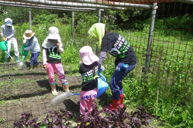 大豆の種まきとじゃが芋掘り・森の虫捕り ／森の畑倶楽部大豆でｅ-ｃｏ