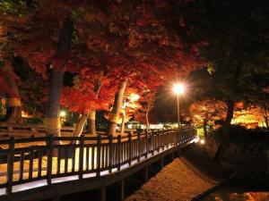 秋限定ランチと紅葉たっぷり満喫コース