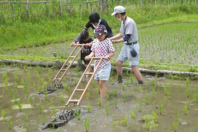 2024年「田の手入れ・ザリガニ釣り」／昔ながらの農業体験　