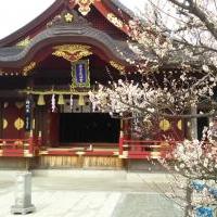 梅の花見満喫プラン～岩津天満宮コース～