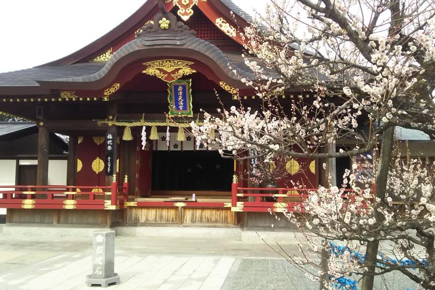 梅の花見満喫プラン～岩津天満宮コース～