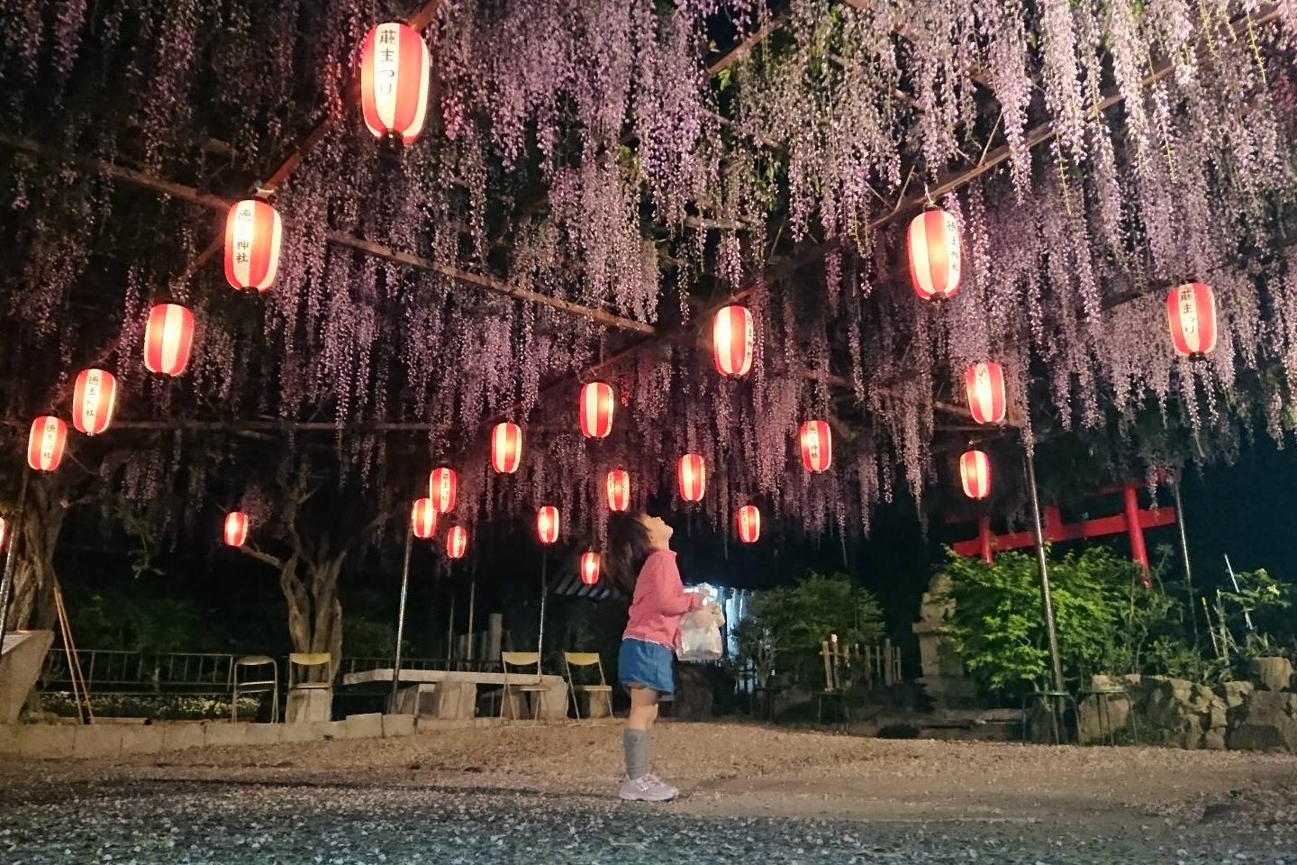 徳王神社藤まつり