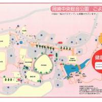 岡崎中央総合公園花ごよみ　春