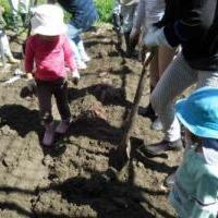 2025年「さつま芋掘り／さつま芋づくり体験」　※抽選申し込み終了