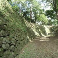 清海堀を探索しよう 2025