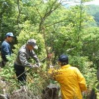 おおだの森里山づくり（ボランティア活動）