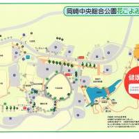 岡崎中央総合公園花ごよみ　初夏