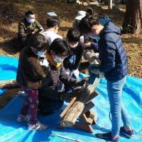 「おおだの森でシイタケの菌打ち体験(2026年)」を開催します