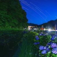 鳥川ホタルまつりフォトコンテスト (2025)
