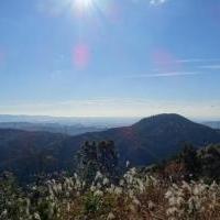 オクオカ「愛宕山」トレッキング