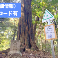 体験の森最高峰。三等三角点