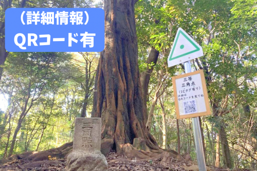 体験の森最高峰。三等三角点