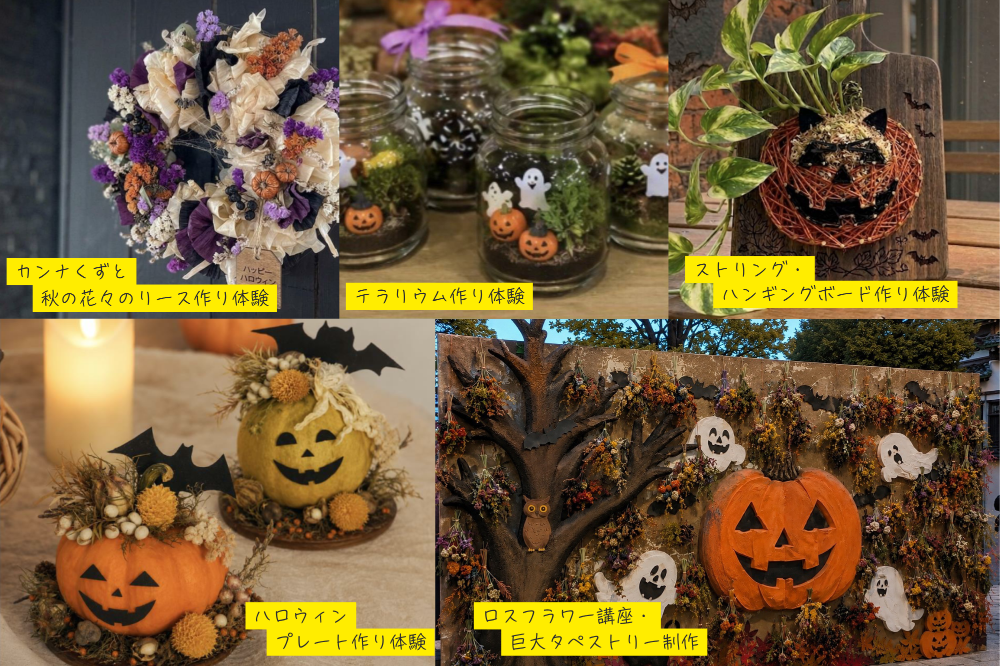 岡崎城公園　ハロウィンフェスタ2026