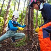 親子で楽しく体験！岡崎の森で間伐に挑戦！