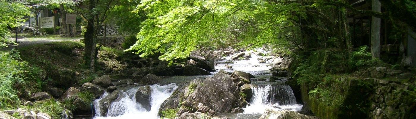 岡崎屈指の景勝地（または「三河の奥座敷」）