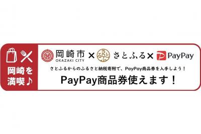 ふるさと納税返礼品「PayPay商品券」