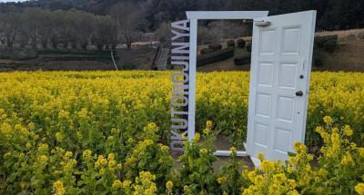 2026年のお花情報