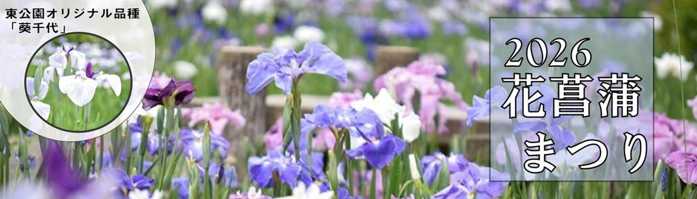 花菖蒲まつり2026