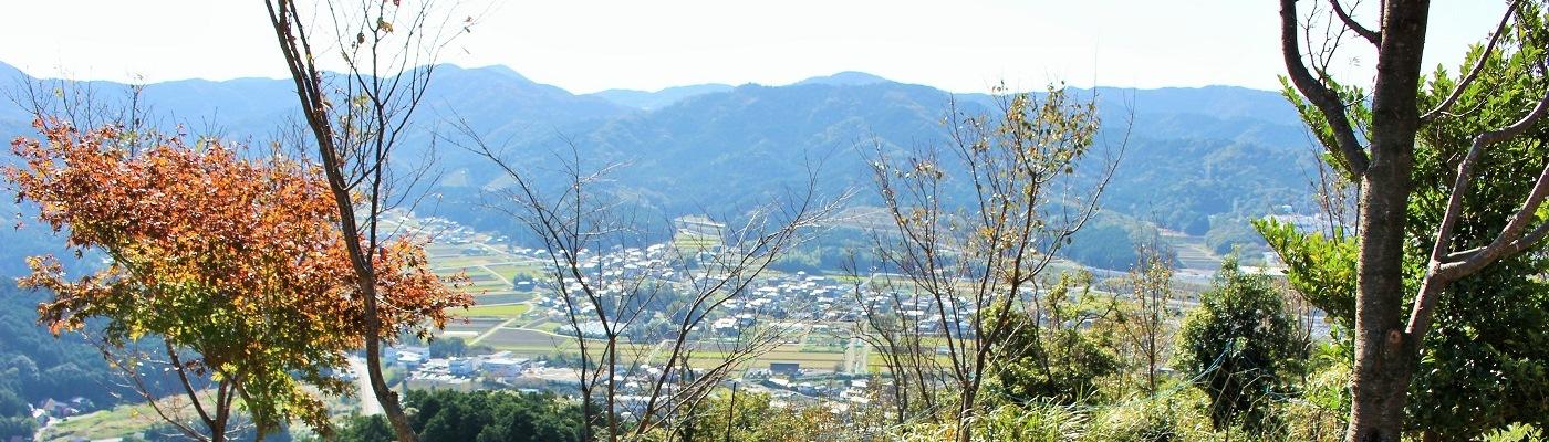 里山の再生を「おおだの森」