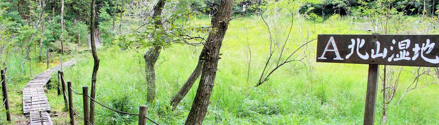 貴重な湿地を守りたい「北山湿地」