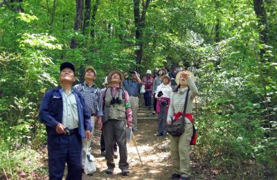 森の自然観察会（体験の森）