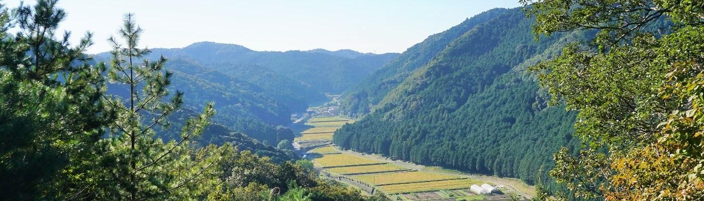 小高い山々に囲まれた「鳥川ホタルの里」