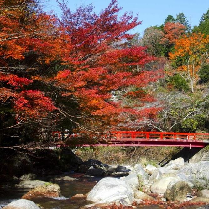 紅葉スポット11選！