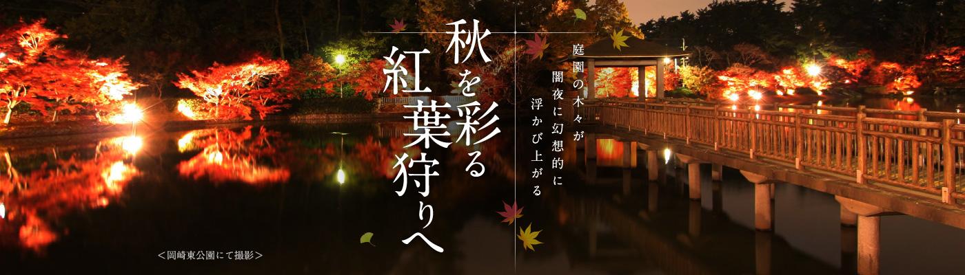 秋を彩る紅葉狩りへ