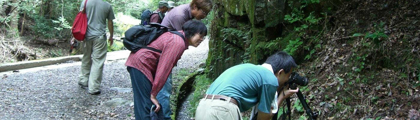 くらがり渓谷自然観察会