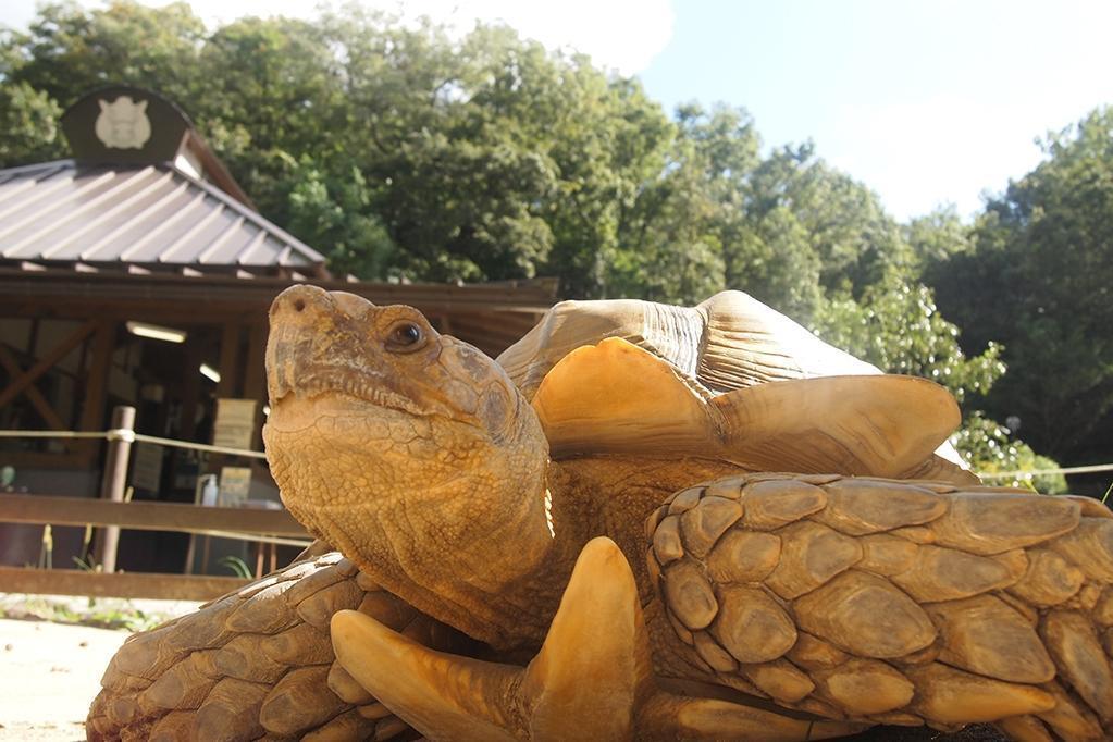 東公園動物園