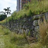 菅生川川端石垣