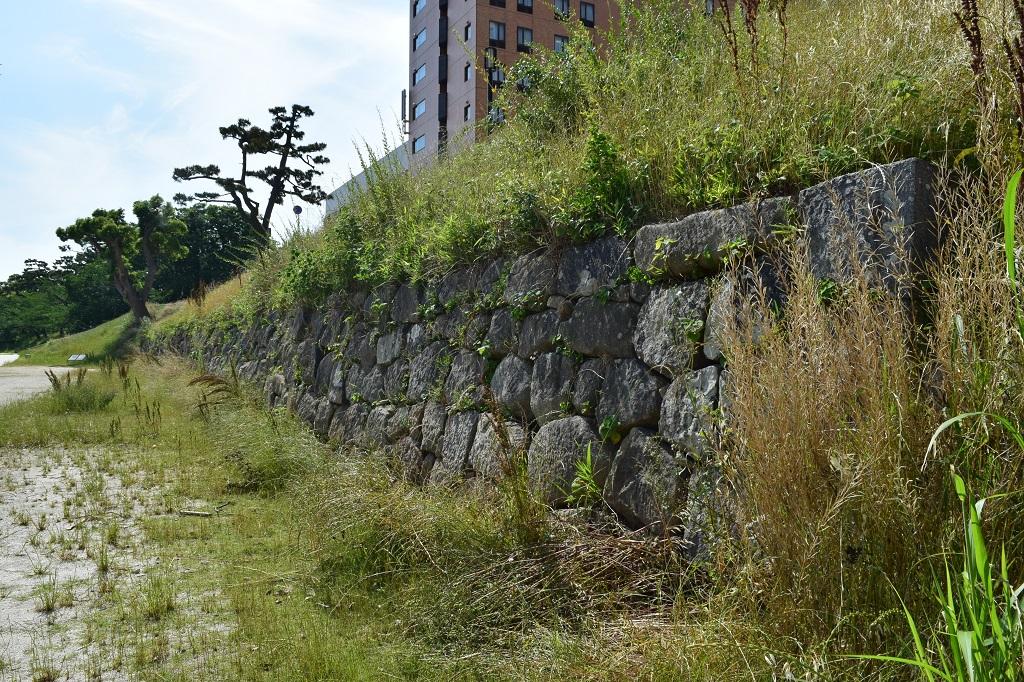 菅生川川端石垣