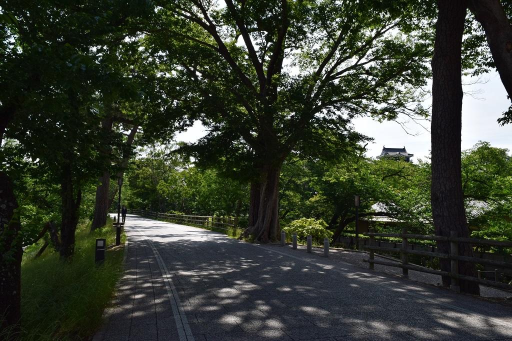 竹千代通り～竹千代橋