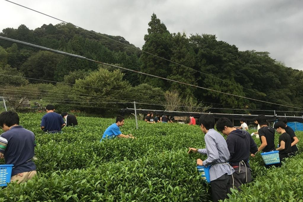 産地問屋宮ザキ園