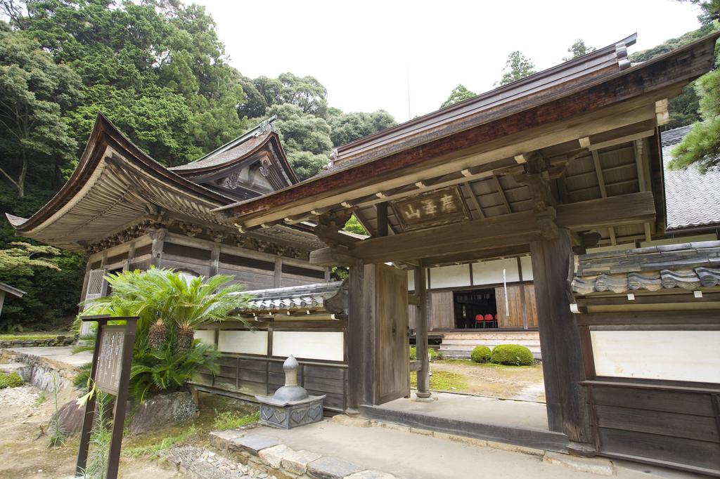 天恩寺・見返りの大杉