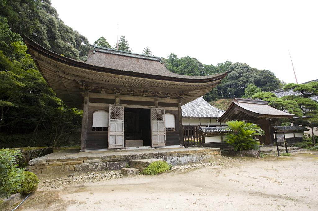 天恩寺・見返りの大杉