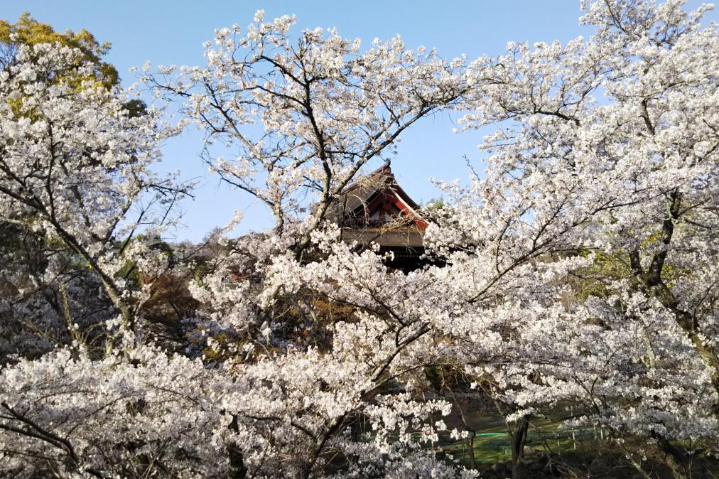 滝山寺・滝山東照宮