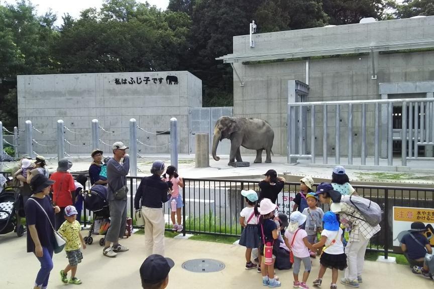 しばゆーマンホール（東公園動物園）