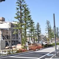 中央緑道